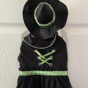 Dog Witch Halloween Costume (Size Small)
